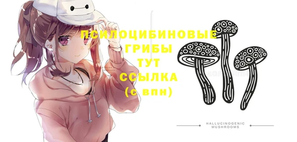 винт Аркадак