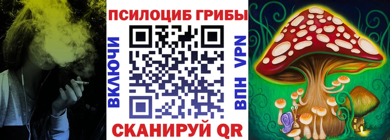 сколько стоит  hydra как войти  Псилоцибиновые грибы ЛСД  Мончегорск 